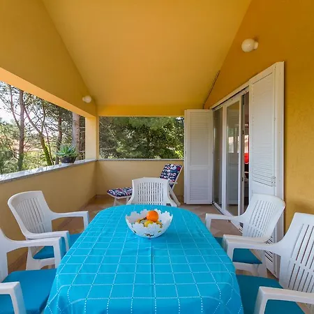 Apartment Franulovic *