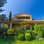 Franulovic Apartman *