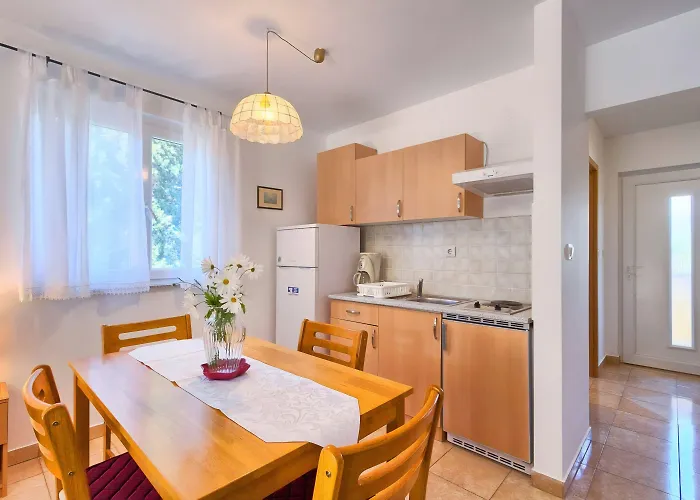 Apartment Franulovic *