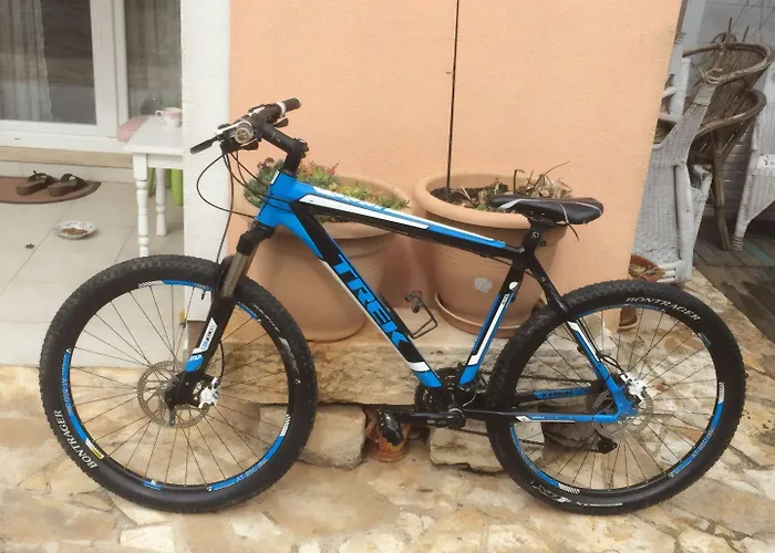 Apartment Franulovic *